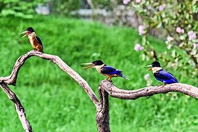 科幻动作游戏《XEL》公布预告 明年登陆主机和PC平台 